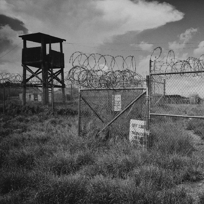 Behind the wire
